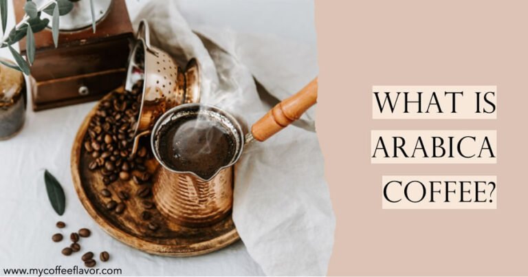 What is Arabica Coffee? A Comprehensive Guide to Explore The Origins ...
